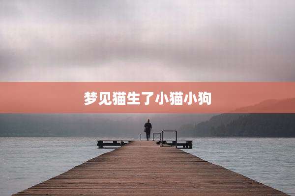 梦见猫生了小猫小狗
