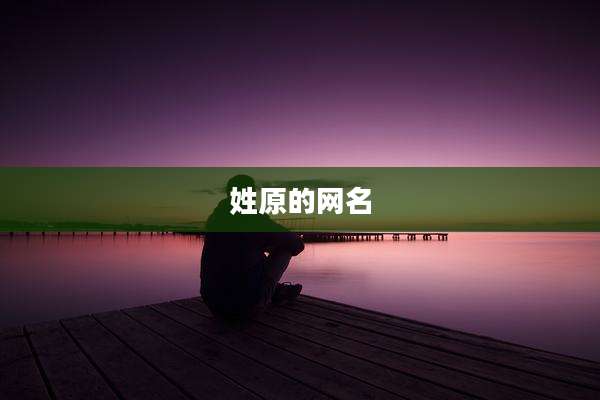 姓原的网名