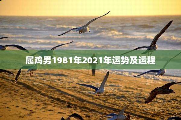 属鸡男1981年2021年运势及运程