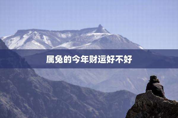 属兔的今年财运好不好