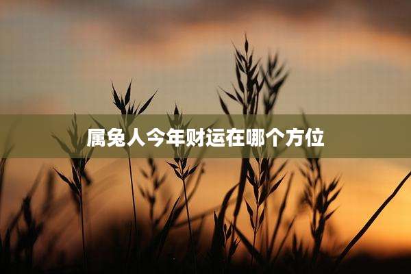 属兔人今年财运在哪个方位