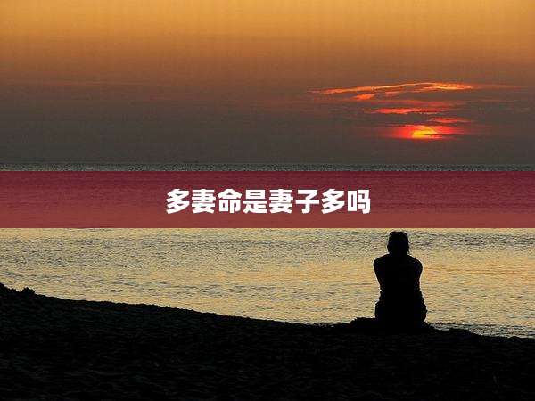 多妻命是妻子多吗