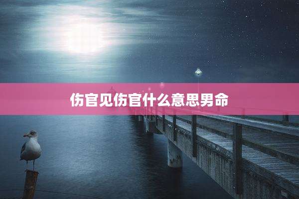 伤官见伤官什么意思男命
