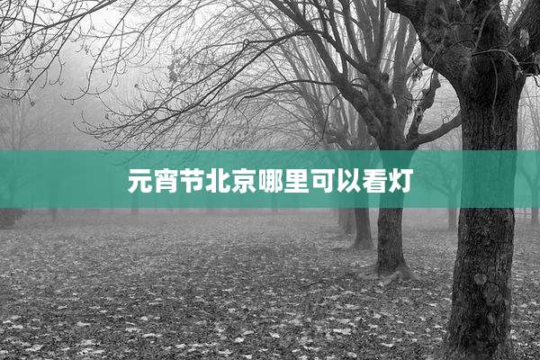 元宵节北京哪里可以看灯