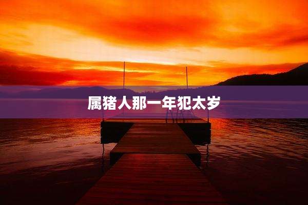 属猪人那一年犯太岁