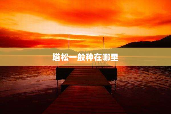 塔松一般种在哪里