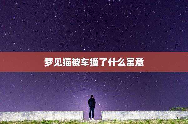 梦见猫被车撞了什么寓意