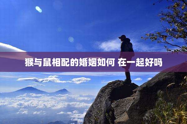 猴与鼠相配的婚姻如何 在一起好吗