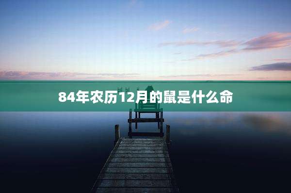 84年农历12月的鼠是什么命