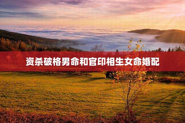 资杀破格男命和官印相生女命婚配