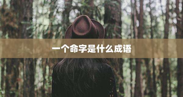 一个命字是什么成语