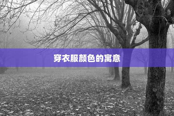 穿衣服颜色的寓意
