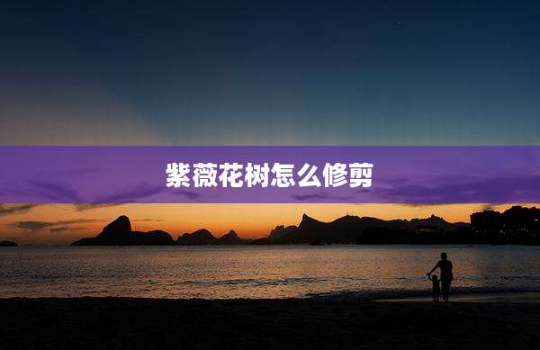 紫薇花树怎么修剪