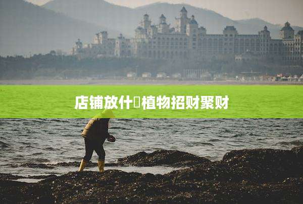 店铺放什麼植物招财聚财