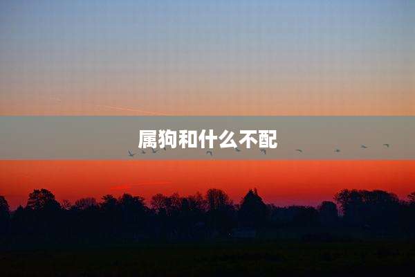 属狗和什么不配
