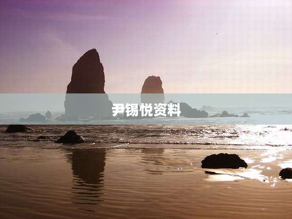 尹锡悦资料