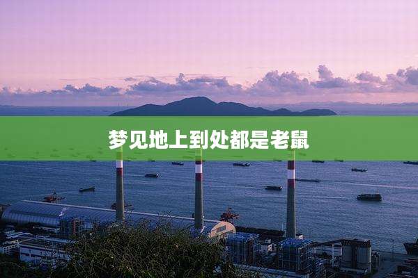梦见地上到处都是老鼠