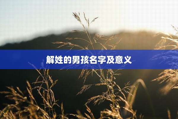 解姓的男孩名字及意义