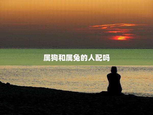 属狗和属兔的人配吗