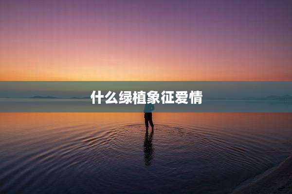 什么绿植象征爱情