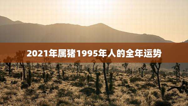 2021年属猪1995年人的全年运势