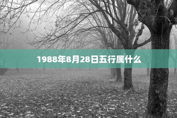 1988年8月28日五行属什么