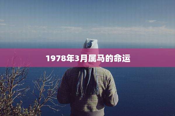 1978年3月属马的命运