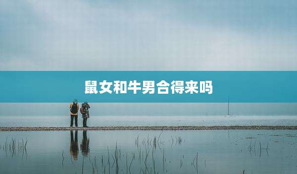 鼠女和牛男合得来吗