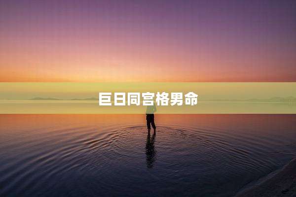 巨日同宫格男命