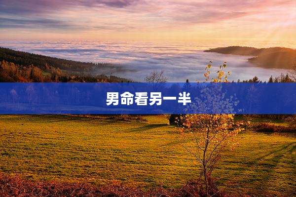 男命看另一半
