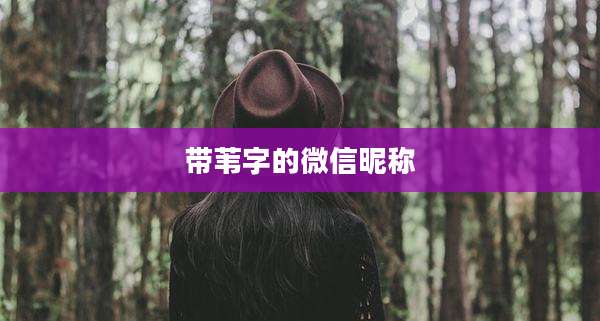 带苇字的微信昵称