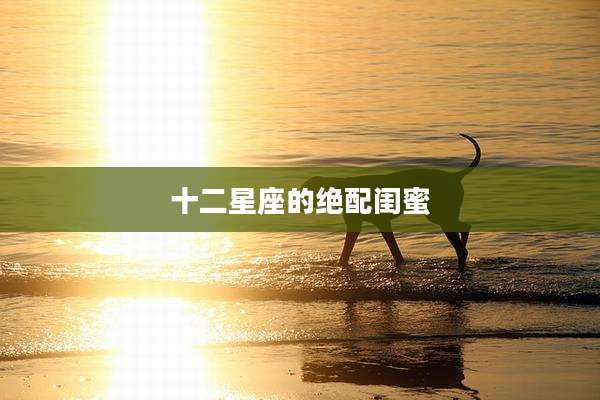 十二星座的绝配闺蜜