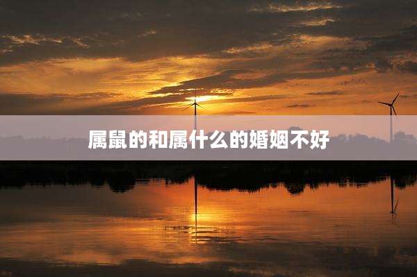 属鼠的和属什么的婚姻不好
