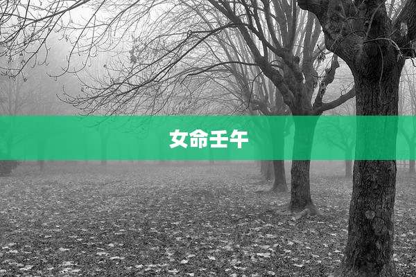 女命壬午