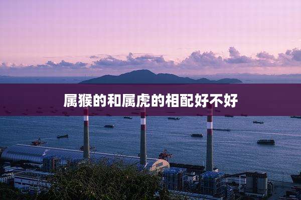 属猴的和属虎的相配好不好