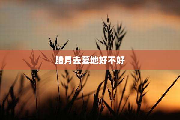 腊月去墓地好不好