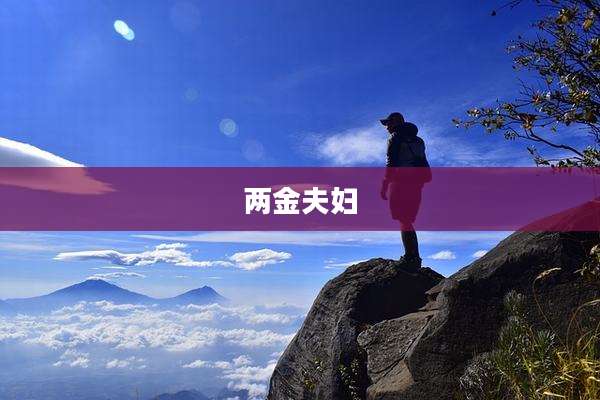 两金夫妇