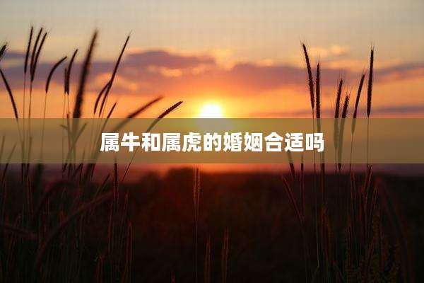 属牛和属虎的婚姻合适吗