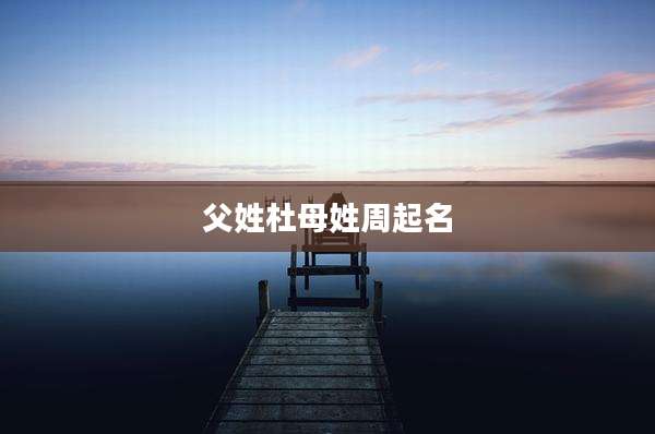 父姓杜母姓周起名