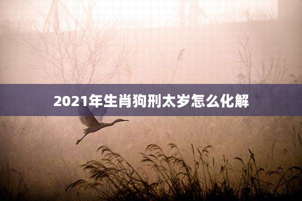 2021年生肖狗刑太岁怎么化解