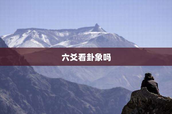 六爻看卦象吗