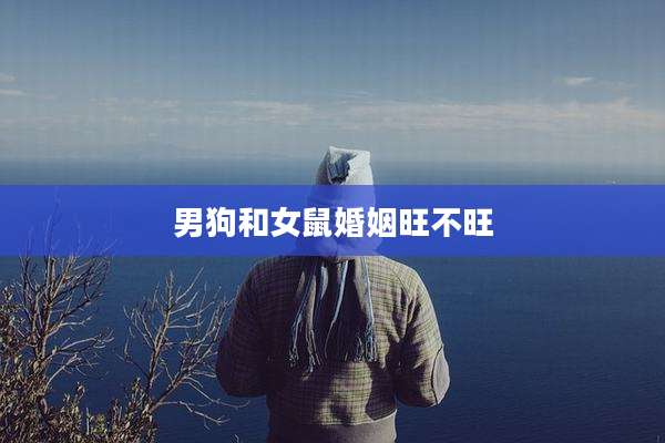 男狗和女鼠婚姻旺不旺