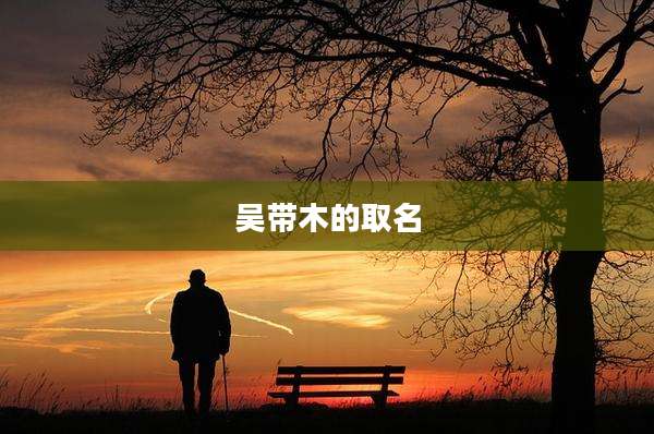 吴带木的取名