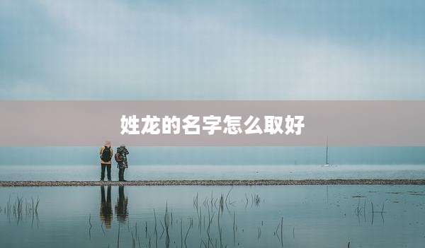 姓龙的名字怎么取好
