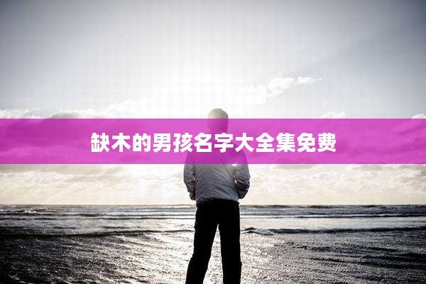 缺木的男孩名字大全集免费