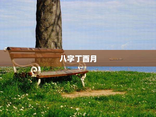 八字丁酉月
