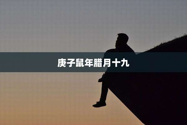 庚子鼠年腊月十九