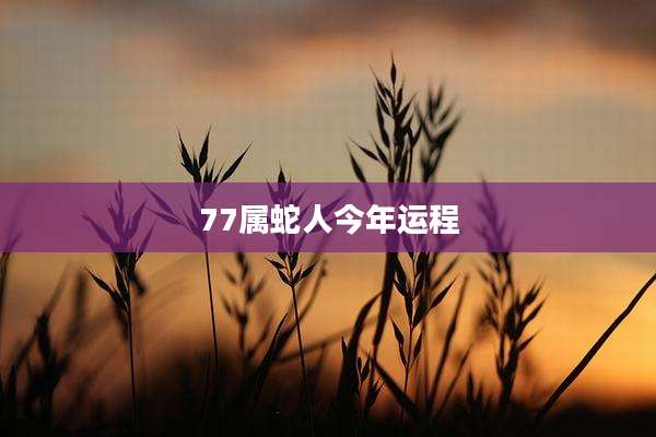 77属蛇人今年运程