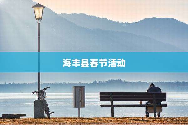 海丰县春节活动
