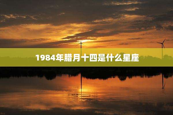 1984年腊月十四是什么星座